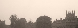 Ox skyline