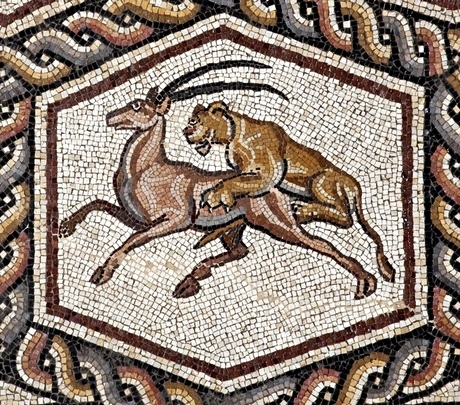 Lion and antelope