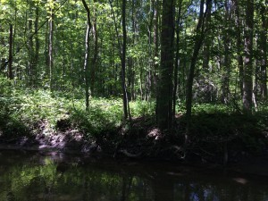 What To Do When You’re In the Weeds post image