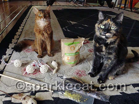 Yes, we are posing nice now, but there will be smacky paws