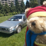 Or perhaps going back to the future?