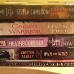 A Stack of Paranormal Romance Novels