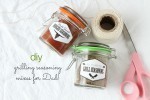 DIY_Grilling_Seasoning_Mixes_Header