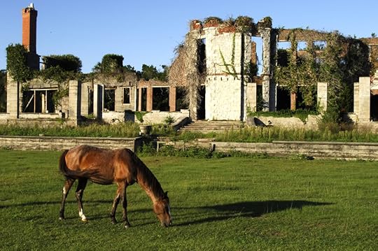 cumberland island photo: cumberland Island _T673423copy.jpg