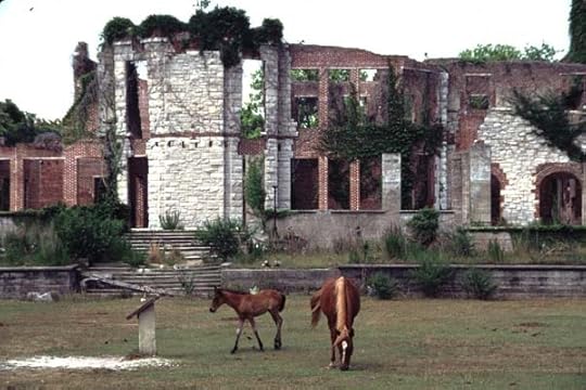 cumberland island photo: Cumberland Island 1308_-_Horses_at_Thomas_Carnegie_Ma.jpg