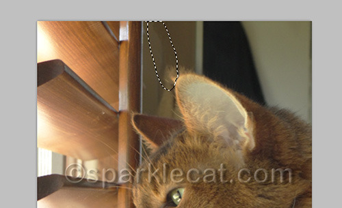 Hey! My ear tufts aren't that big
