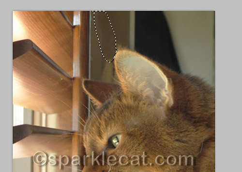 Look Ma, no tuft!
