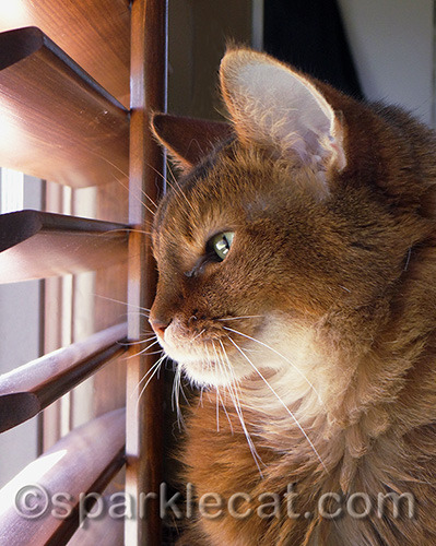Wow, I am beautiful! But I knew that already