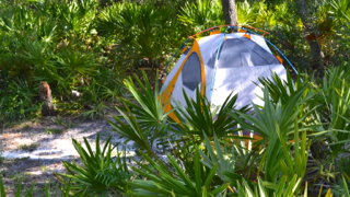 Basecamp at Wilderness Point, a 3/4-mile hike in from the main road