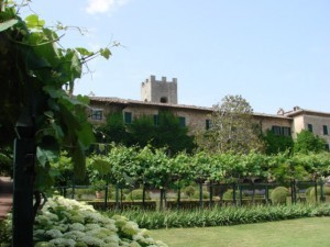 Enjoying the grounds of Badia a Coltibuno