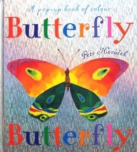 Butterfly Butterfly