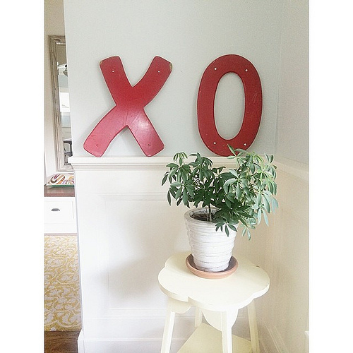 Good morning Saturday. #letsdothis #xo