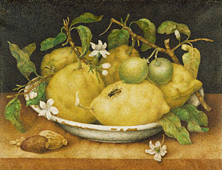 File:Giovanna Garzoni.jpg