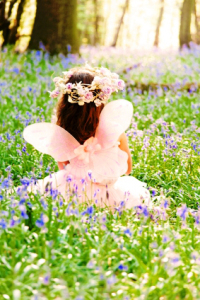 Scottish bluebell fairy