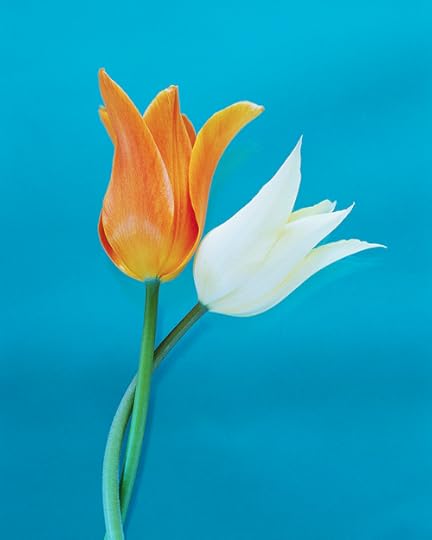 Source: Microsoft Images