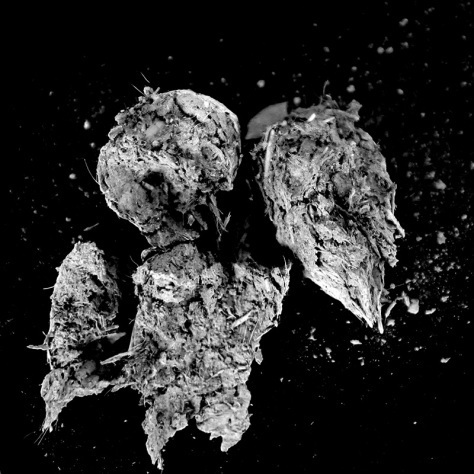 pellet2