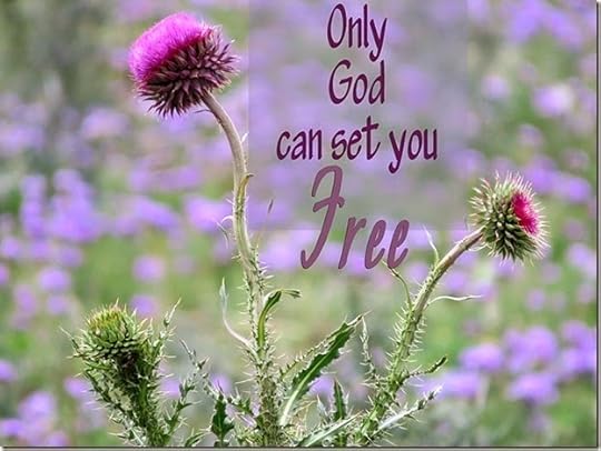 Thistle_SetYouFree