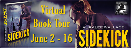 Sidekick Banner 450 x 169