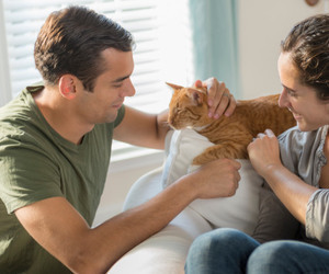 cat_with_couple