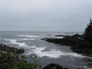 Copy (2) of IMG_0561