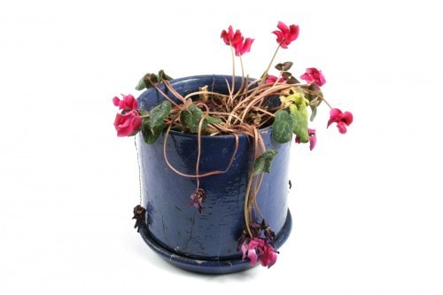 Don't let your new employees die on the vine.