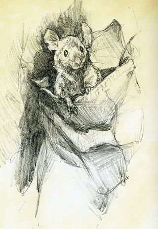 Mouse drawing by Iain McCain