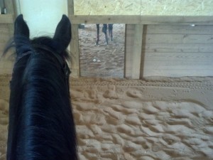 Work toward a long-term goal one hoof at a time.