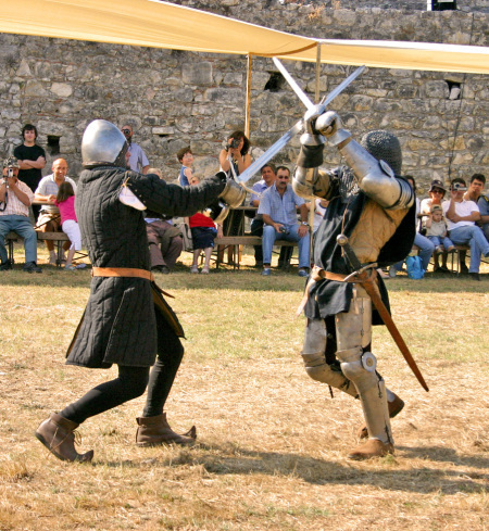 Authors Guild vs Authors Alliance