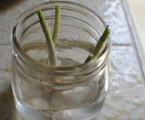 green onions