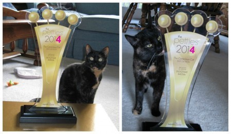 Pettie_Best_Cat_Blog