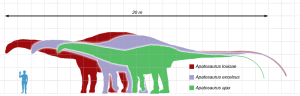 largest Apatosaurus_scale_mmartyniuk_wiki