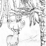 The Boy who run - 1-B&W