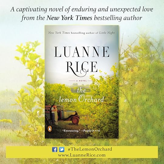 luanne_rice_lemon_orchard_social