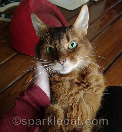 Unhand me!
