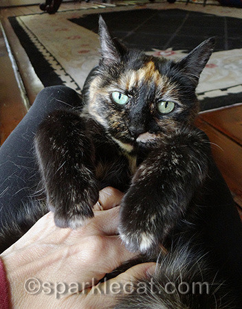 She does not want either