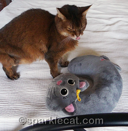 Dumb cat neck pillow, I dislike you