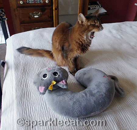 Cat Neck Pillow, you bore me!