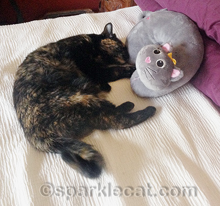 Why can't she hate it like a normal cat?