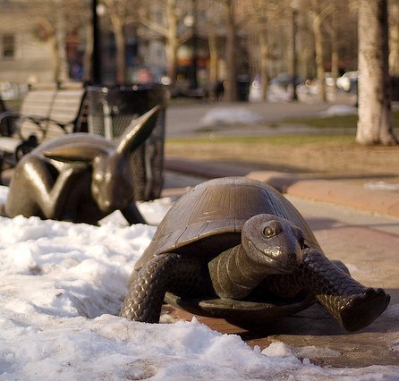hare tortoise