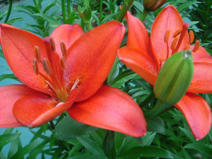 2006_0626Image0004
