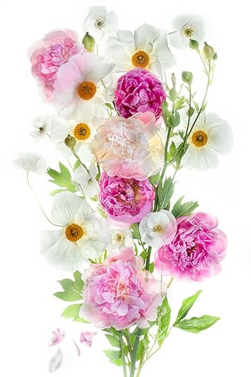 Poppies and Peonies © Harold Davis