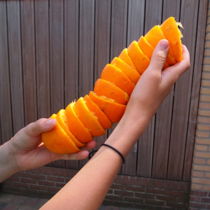 1427676_a_lot_of_oranges