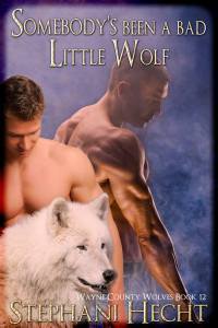 Somebody's Been a Bad little wolf