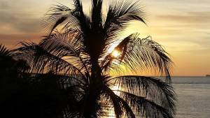 Sunset 2