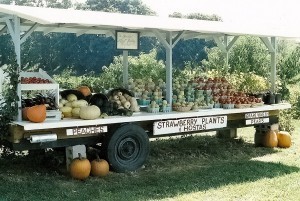farm_stand2