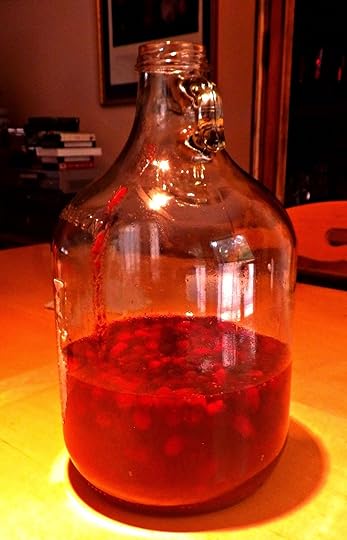Blackberry liqueur steeping - Laura Perry
