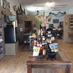 Nibblers in Port Aransas