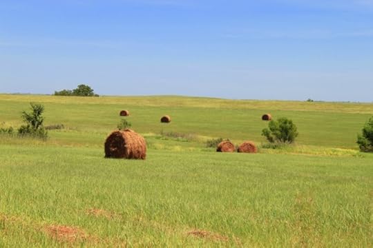 [Grassland at the Tallgrass Kansas Prairie National Preserve.]