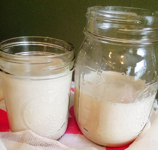 Ultimate Plant-Based Nut-Free Milk Guide