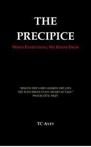 THE PRECIPICE_cover